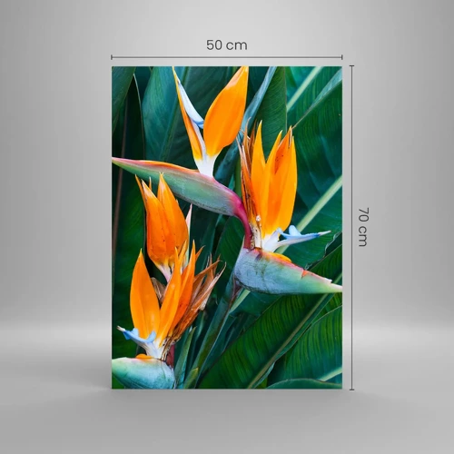 Quadro em vidro - É uma flor ou é um pássaro? - 50x70 cm