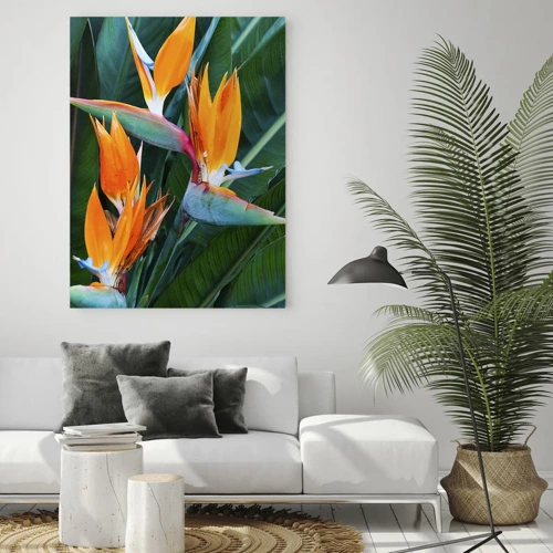 Quadro em vidro - É uma flor ou é um pássaro? - 50x70 cm