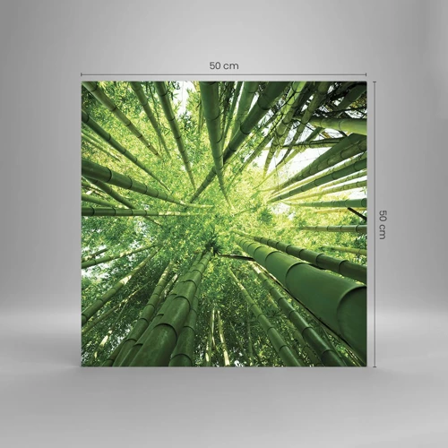 Quadro em vidro - Em um bosque de bambu - 50x50 cm