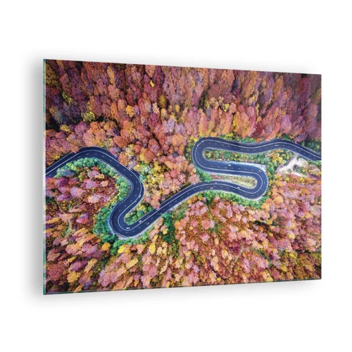 Quadro em vidro - Estrada sinuosa pela floresta - 70x50 cm