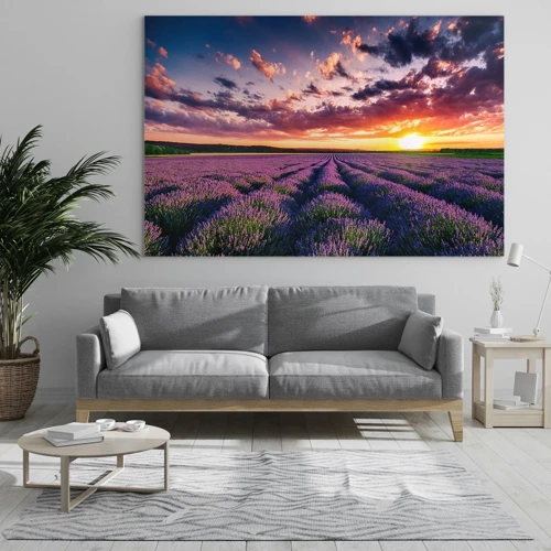 Quadro em vidro - O mundo da lavanda - 70x50 cm