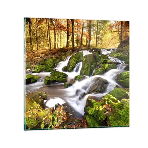 Quadro em vidro - Pela floresta de outono - 60x60 cm