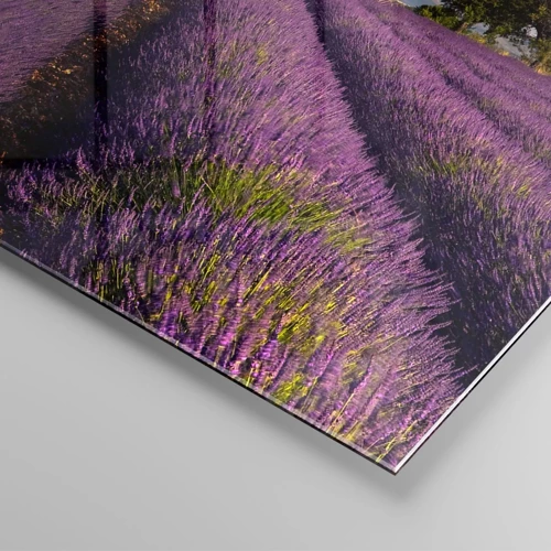 Quadro em vidro - Prados de lavanda - 90x30 cm