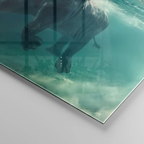 Quadro em vidro - Todo mundo gosta de nadar - 60x60 cm