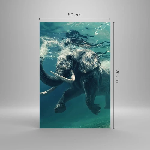 Quadro em vidro - Todo mundo gosta de nadar - 80x120 cm
