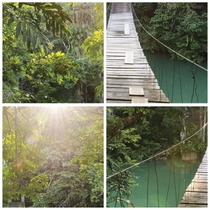 Pôster com moldura de carvalho claro - Da água azul para a floresta azul - 91x61 cm