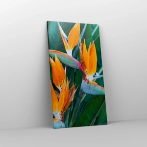 Quadro em tela - É uma flor ou é um pássaro? - 55x100 cm