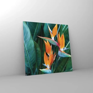 Quadro em vidro - É uma flor ou é um pássaro? - 70x70 cm