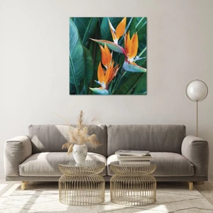 Quadro em vidro - É uma flor ou é um pássaro? - 70x70 cm