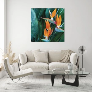 Quadro em vidro - É uma flor ou é um pássaro? - 70x70 cm